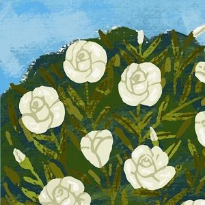 Meet your Posher, Kara